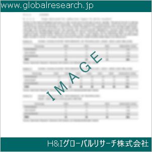 グローバルリサーチ調査資料のイメージ